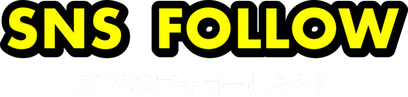 SNS FOLLOW