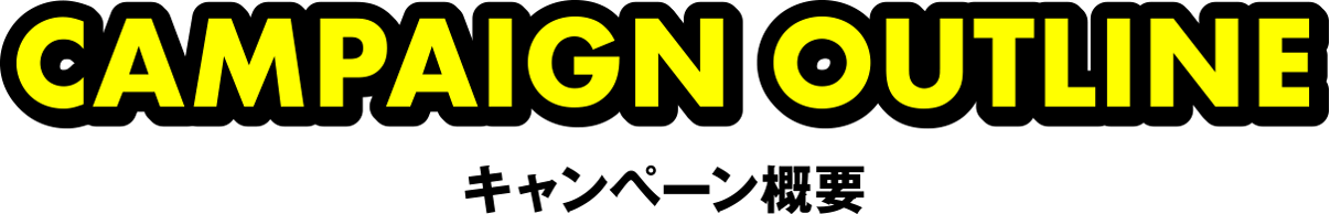 CAMPAIGN OUTLINE